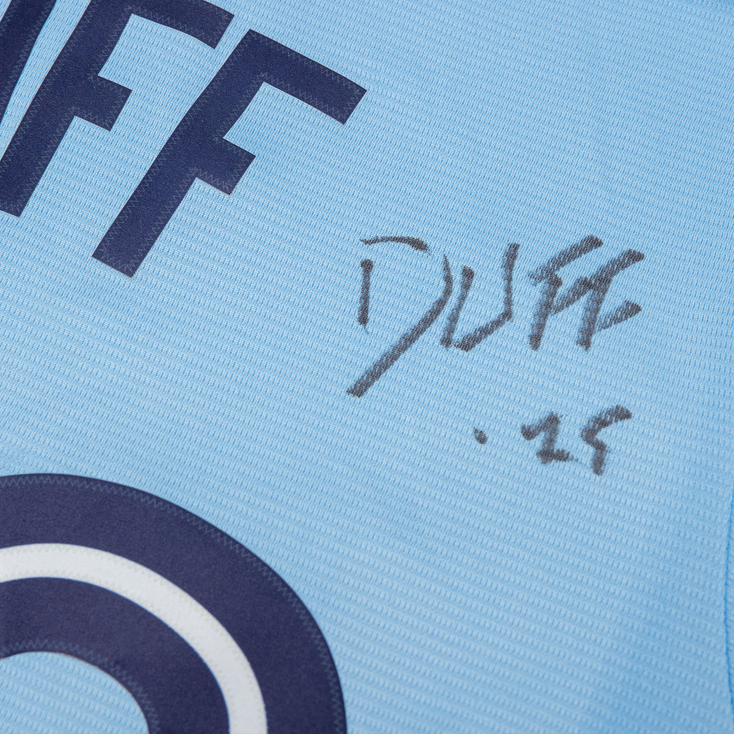 MLB Toronto Blue Jays Jersey (Light Blue) - Signed