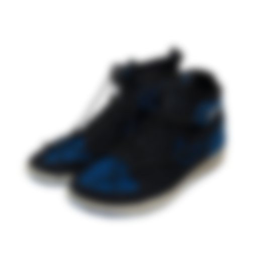 Blue Nikes Size 11 - Stage Worn - Signed